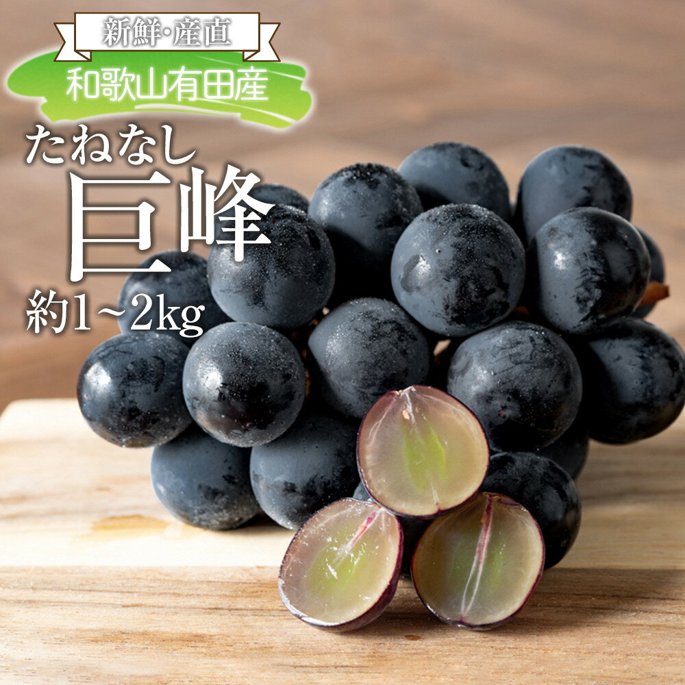 [新鮮・産直]和歌山有田産のたねなし巨峰約1kg or 約2kg★2025年8月上旬頃より順次発送 | 先行予約 種なし 種無 果物 くだもの フルーツ 葡萄 人気 美味しい おすすめ お取り寄せ グルメ 期間限定 数量限定 産直 産地直送