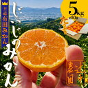 【ふるさと納税】本場有田みかん じぃじのみかん 5kg or 10kg | みかん 蜜柑 フルーツ 果物 くだもの 食品 人気 おすすめ 送料無料