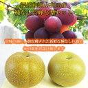 【ふるさと納税】紀州有田産の種なし巨峰と梨セット 計約2kg【先行予約】【2025年8月下旬以降発送予定】 | 果物 フルーツ ぶどう ブドウ 葡萄 産直 産地...