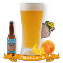 【ふるさと納税】【選べる本数】クラフトビール 有田みかんエール 3本セット or 6本セット