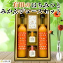 【ふるさと納税】【お中元にも!】みかんジュース (500ml×2本) と はちみつ ( みかん蜂蜜・百花蜂蜜 各210g) セット 和歌山県産 産地直送 みかん...