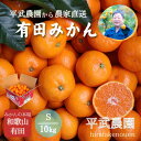 【ふるさと納税】農家直送!有田みかん(10kg Sサイズ 秀品)平武農園 ~蛍飛ぶ町から旬の便り~ | フルーツ 果物 くだもの 食品 人気 おすすめ 送料無料