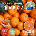 【ふるさと納税】農家直送!有田みかん(5kg Lサイズ 秀品)平武農園 ~蛍飛ぶ町から旬の便り~ | フルーツ 果物 くだもの 食品 人気 おすすめ 送料無料