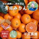 【ふるさと納税】農家直送!有田みかん(3kg 2Sサイズ(小玉)秀品)平武農園 ~蛍飛ぶ町から旬の便り~ | フルーツ 果物 くだもの 食品 人気 おすすめ 送料無料