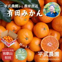 【ふるさと納税】農家直送!有田みかん(3kg 3Sサイズ(超小玉)秀品)平武農園 ~蛍飛ぶ町から旬の便り~ | みかん ミカン 甘い フルーツ ジューシー 産地直送 和歌山 送料無料 果物 わかやま 本場 ふるさと納税 ふるさと 応援 寄付 先行予約 期間限定 返礼品