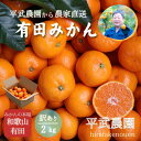 【ふるさと納税】農家直送!有田みかん(2kg 訳あり≪サイズ混合≫) 平武農園 ~蛍飛ぶ町から旬の便り~ | フルーツ 果物 くだもの 食品 人気 おすすめ 送料無料
