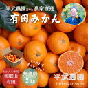 【ふるさと納税】農家直送!有田みかん(2kg 無選別≪秀品・訳あり品・サイズ混合≫)平武農園 ~蛍飛ぶ町から旬の便り~ | フルーツ 果物 くだもの 食品 人気 おすすめ 送料無料