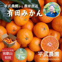 【ふるさと納税】農家直送!有田みかん(2kg Lサイズ 秀品)平武農園 ~蛍飛ぶ町から旬の便り~ | フルーツ 果物 くだもの 食品 人気 おすすめ 送料無料