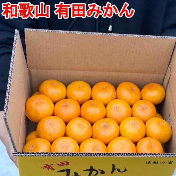 [選べるサイズ・内容量][秀品]まる隆果樹園 和歌山有田産!早生みかん[予約販売][数量限定]