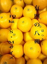 【ふるさと納税】和歌山産 有田のはっさく 10kg L・2L...