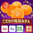 【ふるさと納税】【こだわり】有田みかん 5kg(2Lサイズ指定) 旬の味覚市場