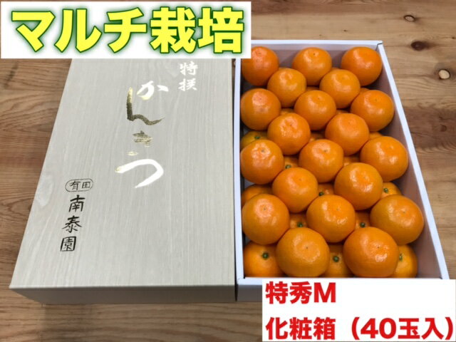 アイテムID:483428の画像1枚目