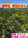 【ふるさと納税】【マルチ栽培】極早生 小玉 有田みかん 化粧箱 『特秀』SSサイズ 54玉入