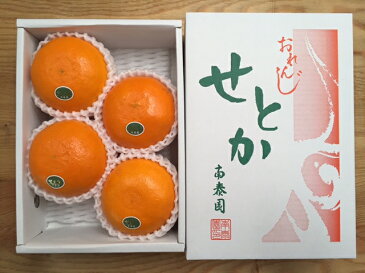 【ふるさと納税】【ハーフ化粧箱】『柑橘の大トロ』 ハウスせとか 厳選 4玉入 ※2022年2月上旬〜4月上旬頃に順次発送予定