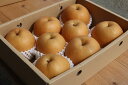【ふるさと納税】【まごころ手選別】和歌山産 有田の梨(幸水)...