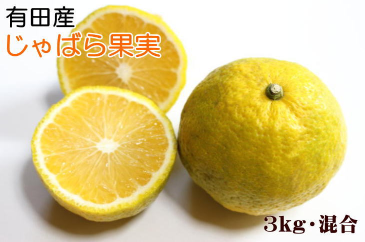 【ふるさと納税】【産直】有田産のじゃばら果実約3kg※2021年12月中旬頃〜2022年1月下旬頃に順次発送予定