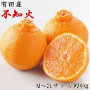 【ふるさと納税】【産直】有田の不知火約4kg(16玉〜23玉...