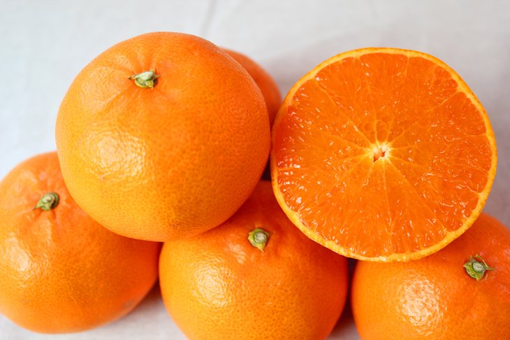 【ふるさと納税】とろける食感!ジューシー柑橘 せとか 約3kg※2023年2月下旬頃～3月中旬頃に順次発送予定