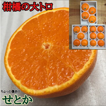 【ふるさと納税】【ちょっと傷あり】ハーフ化粧箱『柑橘の大トロ』 ハウスせとか4〜6玉入 | せとか 訳あり 傷あり みかん ハウス 和歌山 有田川 甘い 濃厚※2022年2月上旬〜4月上旬頃に順次発送予定※着日指定不可