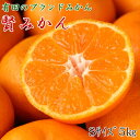 【ふるさと納税】有田のブランドみかん「賢みかん」5kg(Sサイズ・赤秀品)※2020年11月中旬〜12月下旬頃に順次発送予定