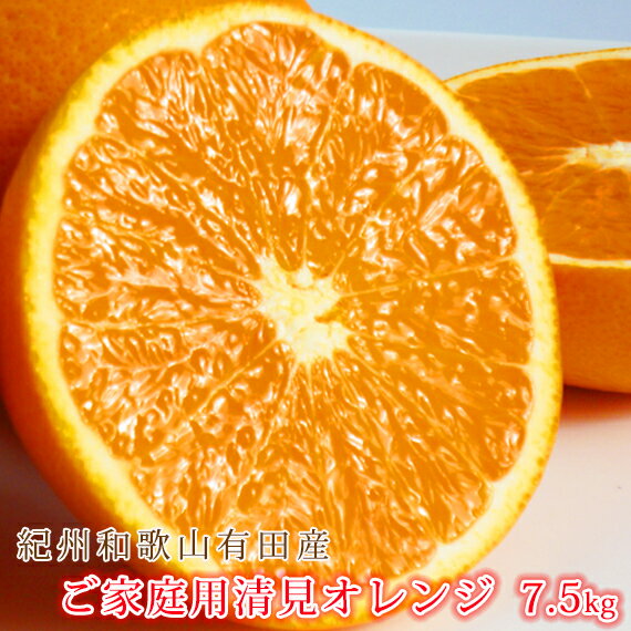 記事ID36657のサムネイル画像