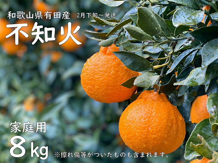 【ふるさと納税】【先行予約】山城農園の旨味が詰まった有田の不知火 家庭用8kg | 訳あり デコポン 8kg 家庭用 送料無料 みかん フルーツ ※2021年2月下旬〜3月中旬頃に順次発送予定