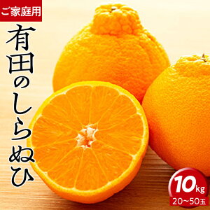 【ふるさと納税】【ご家庭用】有田のしらぬひ　10kg（20～50玉）（3月上旬から4月下旬順次発送）| 不知火 有田みかん デコポン 蜜柑 ミカン