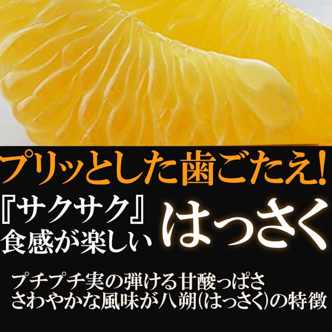 【ふるさと納税】【有田川町】 みかん はっさく 八朔 5kg 訳あり 大特価 ブランド 和歌山 有田みかん ありだみかん※着日指定不可※2023年1月下旬頃～4月中旬頃に順次発送予定