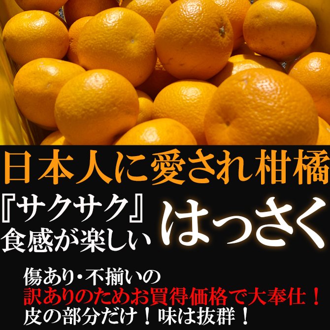 【ふるさと納税】【有田川町】 みかん はっさく 八朔 5kg 訳あり 大特価 ブランド 和歌山 有田みかん ありだみかん※着日指定不可※2023年1月下旬頃～4月中旬頃に順次発送予定