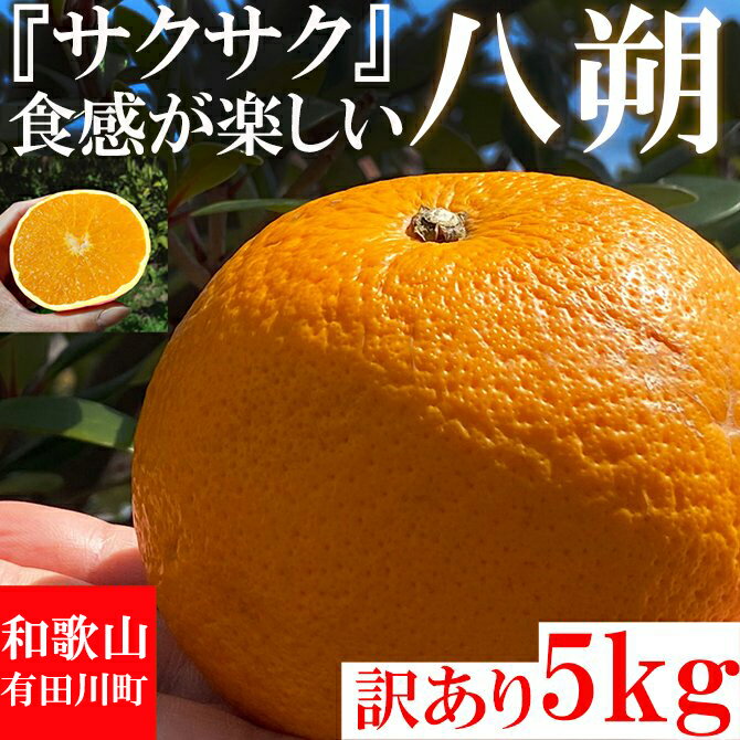 【ふるさと納税】【有田川町】 みかん はっさく 八朔 5kg 訳あり 大特価 ブランド 和歌山 有田みかん ありだみかん※着日指定不可※2023年1月下旬頃～4月中旬頃に順次発送予定