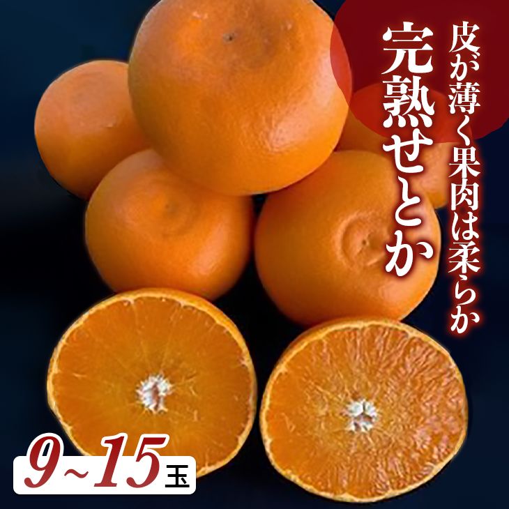 みかん・柑橘類の返礼品 | ふるさと納税バイブル