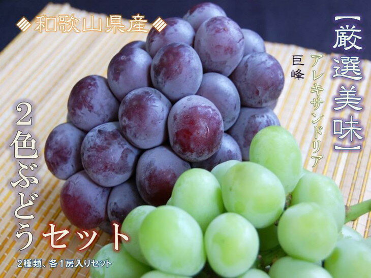 【ふるさと納税】【先行受付】2色ぶどう　マスカット＆巨峰　厳選各1房【2023年8月下旬より順次発送】※北海道・沖縄・離島への配送不可※着日指定不可のサムネイル