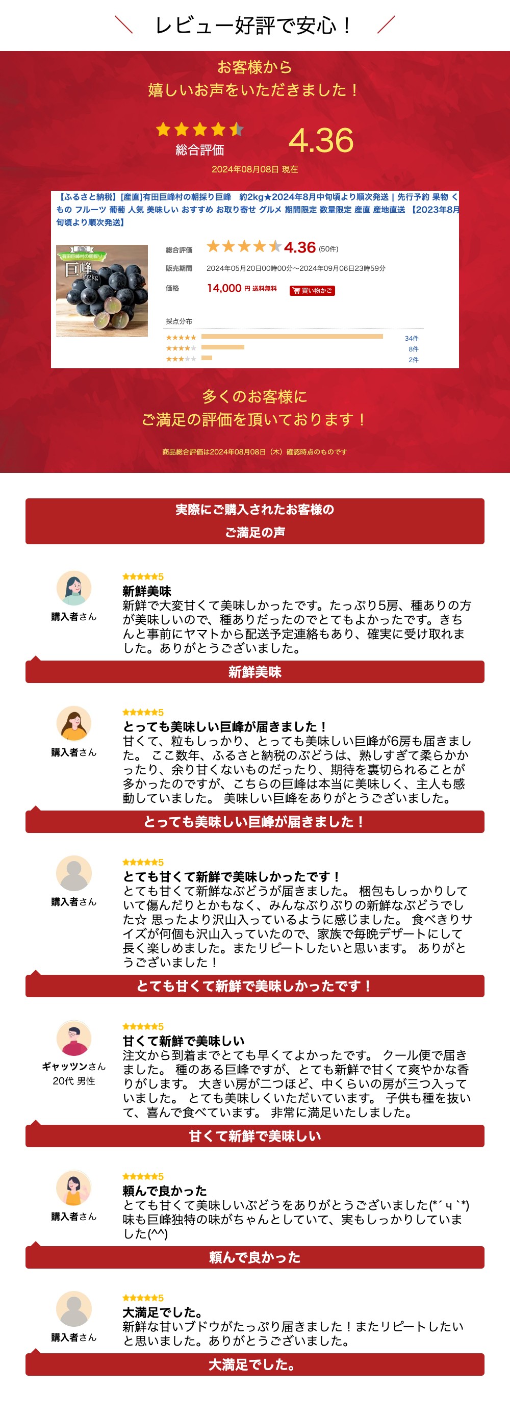 【ふるさと納税】[産直]有田巨峰村の朝採り巨峰　約2kg★2024年8月中旬頃より順次発送 | 先行予約 果物 くだもの フルーツ 葡萄 人気 美味しい おすすめ お取り寄せ グルメ 期間限定 数量限定 産直 産地直送 【2023年8月中旬頃より順次発送】