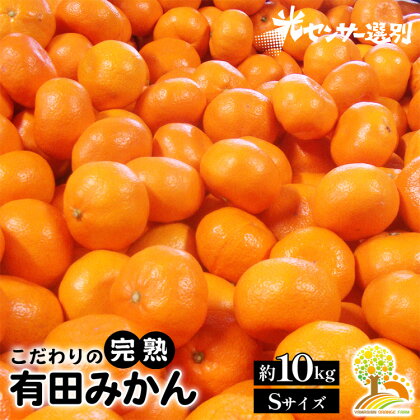 ＼光センサー選別／完熟有田みかんSサイズ 約10kg 有機質肥料100%※2024年11月中旬頃より順次発送予定※沖縄・離島への配送不可 ふるさと納税 みかん