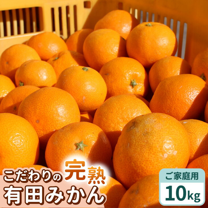 和歌山県有田産バレンシアオレンジ約5kg（サイズおまかせ）★2024年６月下旬より順次発送予定