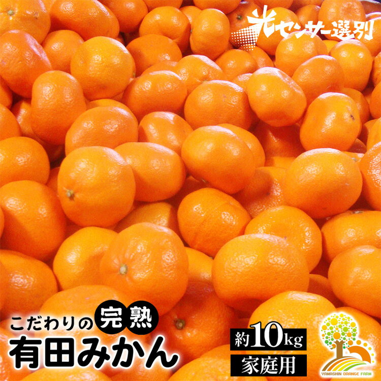 【ふるさと納税】＼光センサー選別／こだわりの完熟有田みかん 約10kg ふるさと納税 みかん 有機質肥料100%【ご家庭用】※2023年11月中旬頃～2024年1月上旬頃に順次発送予定※北海道・沖縄・離島への配送不可のサムネイル