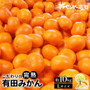 【ふるさと納税】＼光センサー選別／完熟有田みかんLサイズ 約10kg 有機質肥料100 ふるさと納税 ミカン ※2024年11月中旬頃～2025年1月上旬頃に順次発送予定※着日指定不可※沖縄 離島への配送不可