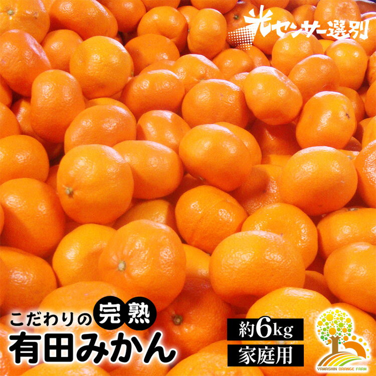 【ふるさと納税】＼光センサー選別／こだわりの有田みかん 約6kg 【ご家庭用】 有機質肥料100% | みかん 有田みかん 温州みかん ミカン 温州ミカン 柑橘 温州 先行予約 2024 2025 甘い コク※2024年11月中旬頃～2025年1月頃に順次発送予定※沖縄・離島への配送不可