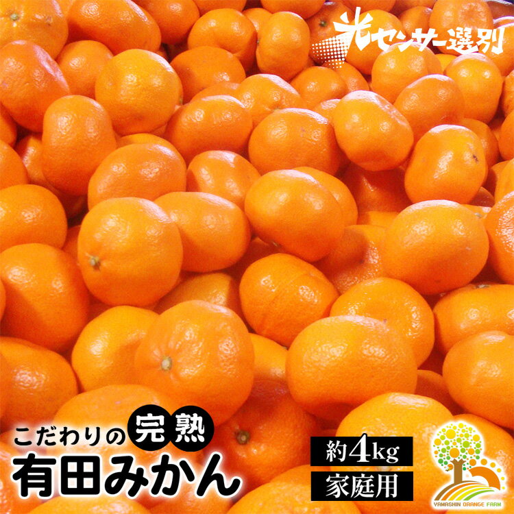 【ふるさと納税】＼光センサー選別／こだわりの有田みかん 約4kg 【ご家庭用】有機質肥料100% | みか...