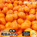 【ふるさと納税】＼光センサー選別／こだわりの有田みかん 約4kg 【ご家庭用】有機質肥料100% | みかん 有田みかん 温州みかん ミカン 温州ミカン 柑橘 温州 甘い コク 産地直送 2024年11月中…