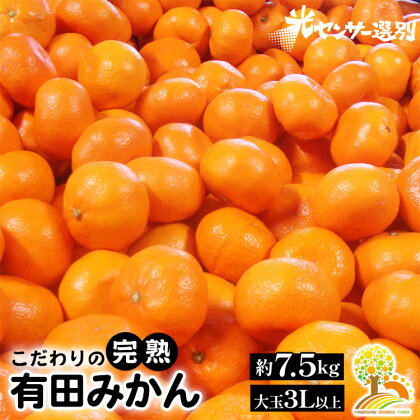 ＼光センサー選別／ 農家直送　有田みかん　約7.5kg 大玉3L以上　有機質肥料100% ※着日指定不可※北海道・沖縄・離島への配送不可※2024年11月中旬～2025年1月上旬頃に順次発送予定