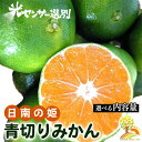 【ふるさと納税】選べる内容量 こだわりの青切りみかん 農家直送 有機質肥料 100% サイズ混合 | みかん 柑橘 果物 くだもの 果実 フルーツ 和歌山 有田 ※北海道・沖縄・離島への配送不可 ※2025年9月下旬~10月上旬頃に順次発送予定