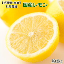 【ふるさと納税】＊11月発送＊【手選別・産直】紀の川産の安心国産レモン約3kg ※着日指定不可※2024年11月上旬～11月下旬頃に順次発送予定