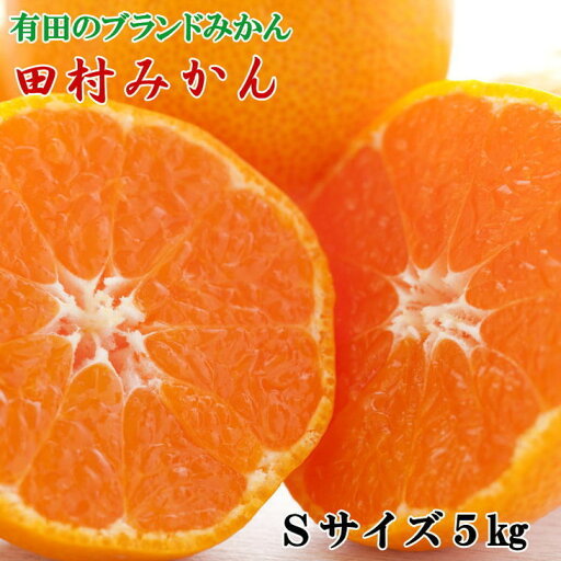【ふるさと納税】【ブランドみかん】田村みかん約5kg(Sサイズ・秀品)※2025年11月下旬~12月下旬頃に順次発送予定 【ふるさと納税】【ブランドみかん】田村みかん約5kg(Sサイズ・秀品)※2025年11月下旬~12月下旬頃に順次発送予定