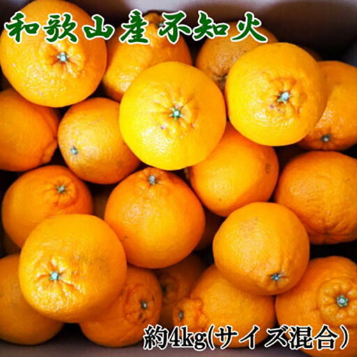 【ふるさと納税】和歌山県産不知火約4kg(サイズ混合)※2026年2月下旬~4月中旬頃に順次発送予定 【ふるさと納税】和歌山県産不知火約4kg(サイズ混合)※2026年2月下旬~4月中旬頃に順次発送予定