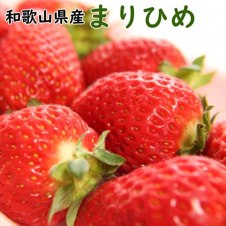 【ふるさと納税】【4月発送】和歌山県産ブランドいちご「まりひめ」約300g×2パック入り ※北海道・沖縄・離島への配送不可 ※2025年4月上旬~4月下旬頃に順次発送予定