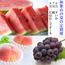 【ふるさと納税】〈定期便〉【6・7・8月 全3回】和歌山の夏の人気フルーツ(小玉スイカ・桃・たねなしピオーネ) |フルーツ ふるーつ 果物 くだもの 詰め合わせ...