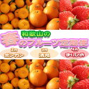 【ふるさと納税】〈定期便〉【2・3・4月 全3回】和歌山の春のフルーツ(ポンカン・清見オレンジ・まりひめ)※北海道・沖縄・離島への配送不可(4)