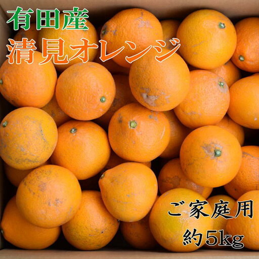 【ふるさと納税】【濃厚】有田産清見オレンジ約5kg(サイズおまかせまたは混合)ご家庭用 ※2026年2月中旬~3月下旬頃に順次発送予定 【ふるさと納税】【濃厚】有田産清見オレンジ約5kg(サイズおまかせまたは混合)ご家庭用 ※2026年2月中旬~3月下旬頃に順次発送予定