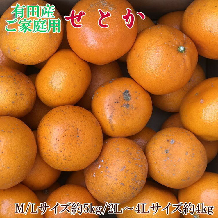 (訳あり・ご家庭用)一度は食べていただきたい「有田産のせとか」約4kg〜5kg ※2026年2月中旬〜3月上旬頃に順次発送予定